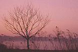abendrot-kleiner.jpg