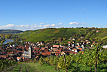 weinberge-kleiner.jpg