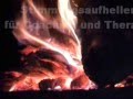 outdoor-natur-videos-youtube-coaching-training-therapie